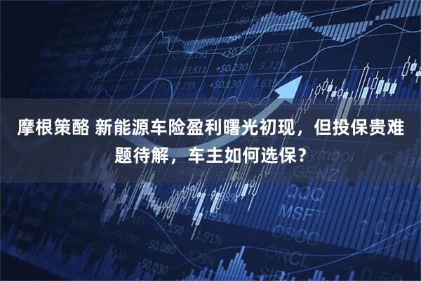 摩根策酪 新能源车险盈利曙光初现，但投保贵难题待解，车主如何选保？