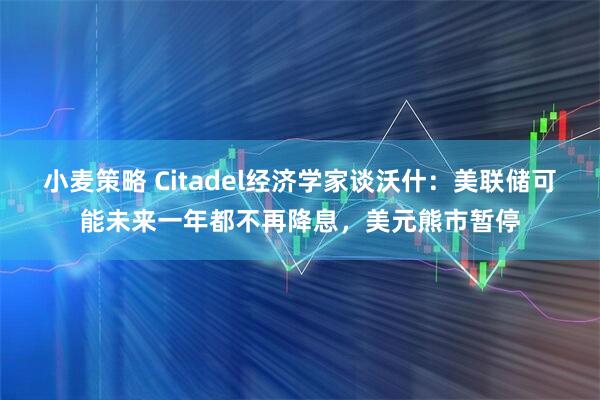 小麦策略 Citadel经济学家谈沃什：美联储可能未来一年都不再降息，美元熊市暂停